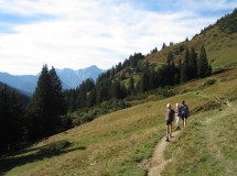 Wandelen en nordic walking: veel mogelijkheden